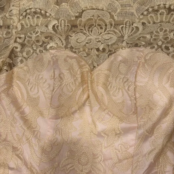 ChiChi London Lace Pink Dress - Picture 4 of 4